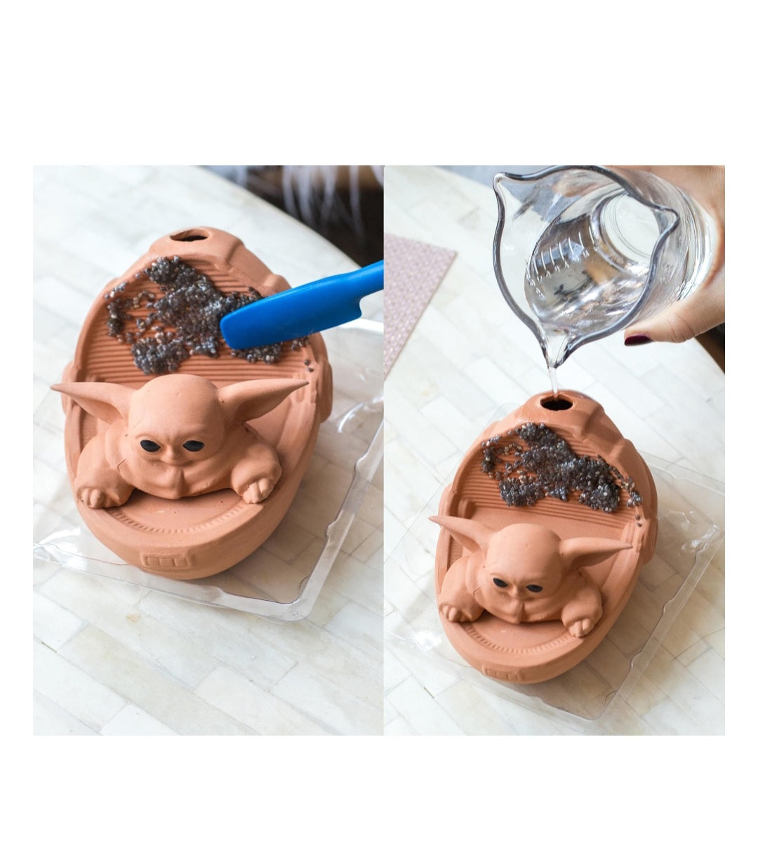 Chia Pet the Child