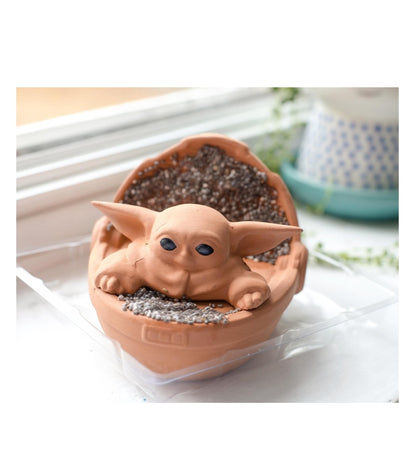 Chia Pet the Child