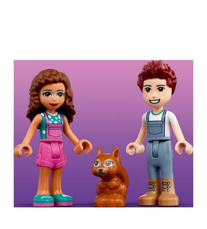 Lego Friends 41707
