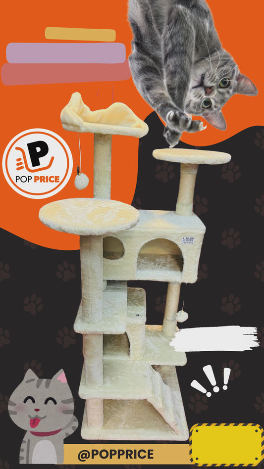ARBOL Y CONDOMINIO PARA GATOS